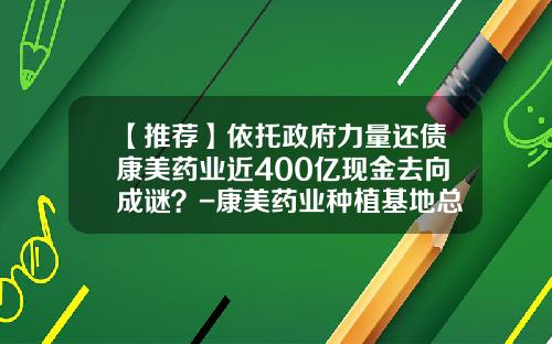 【推荐】依托政府力量还债康美药业近400亿现金去向成谜？-康美药业种植基地总共有多少亩