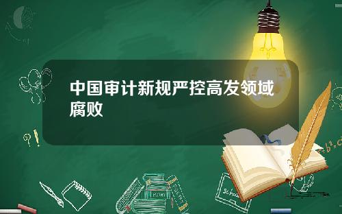 中国审计新规严控高发领域腐败