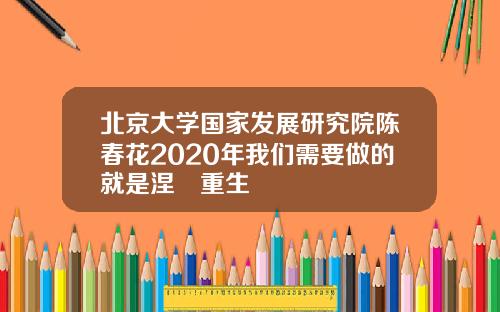 北京大学国家发展研究院陈春花2020年我们需要做的就是涅槃重生