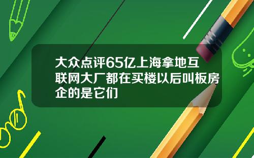 大众点评65亿上海拿地互联网大厂都在买楼以后叫板房企的是它们
