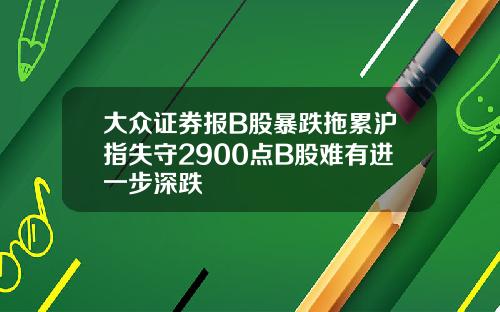 大众证券报B股暴跌拖累沪指失守2900点B股难有进一步深跌