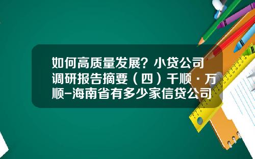 如何高质量发展？小贷公司调研报告摘要（四）千顺·万顺-海南省有多少家信贷公司
