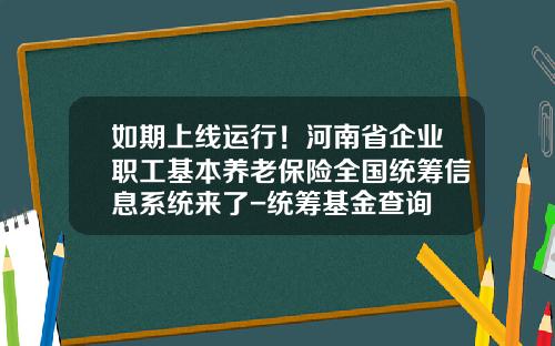 如期上线运行！河南省企业职工基本养老保险全国统筹信息系统来了-统筹基金查询