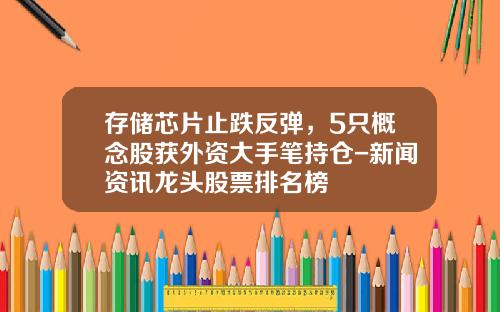 存储芯片止跌反弹，5只概念股获外资大手笔持仓-新闻资讯龙头股票排名榜