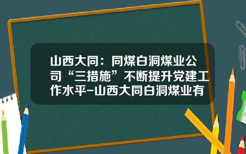 山西大同：同煤白洞煤业公司“三措施”不断提升党建工作水平-山西大同白洞煤业有限责任公司