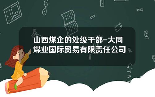 山西煤企的处级干部-大同煤业国际贸易有限责任公司