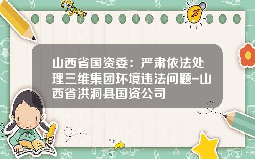 山西省国资委：严肃依法处理三维集团环境违法问题-山西省洪洞县国资公司