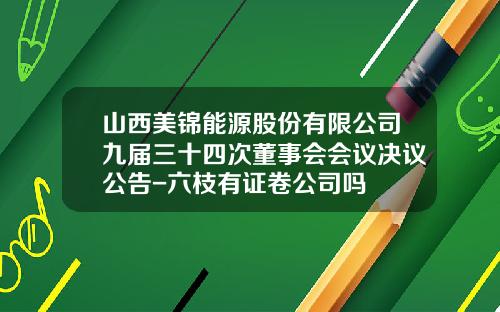 山西美锦能源股份有限公司九届三十四次董事会会议决议公告-六枝有证卷公司吗