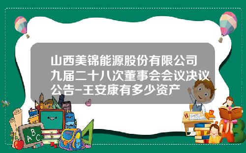 山西美锦能源股份有限公司九届二十八次董事会会议决议公告-王安康有多少资产