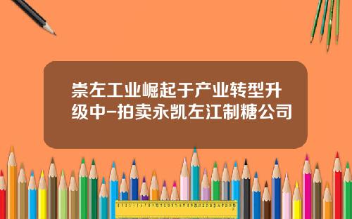 崇左工业崛起于产业转型升级中-拍卖永凯左江制糖公司