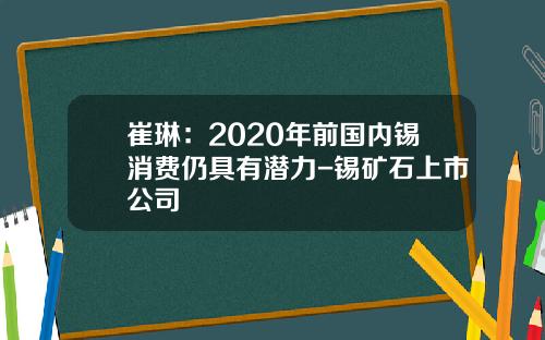 崔琳：2020年前国内锡消费仍具有潜力-锡矿石上市公司