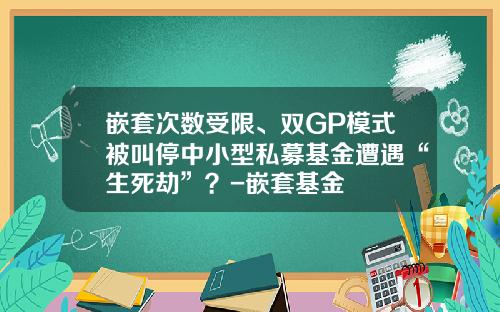 嵌套次数受限、双GP模式被叫停中小型私募基金遭遇“生死劫”？-嵌套基金