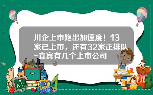 川企上市跑出加速度！13家已上市，还有32家正排队-宜宾有几个上市公司