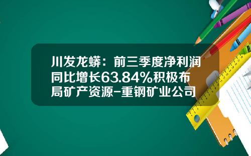 川发龙蟒：前三季度净利润同比增长63.84%积极布局矿产资源-重钢矿业公司