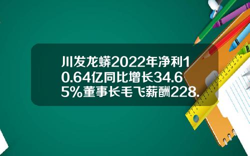 川发龙蟒2022年净利10.64亿同比增长34.65%董事长毛飞薪酬228.92万-上市公司财务经理年薪