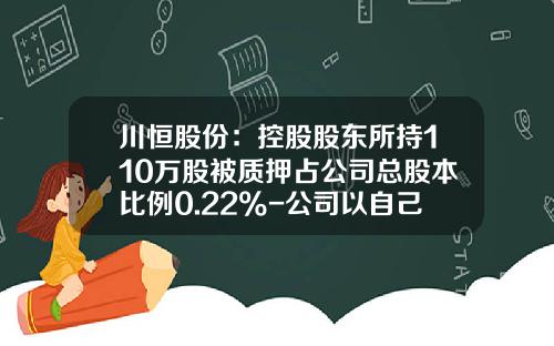 川恒股份：控股股东所持110万股被质押占公司总股本比例0.22%-公司以自己持有的股票质押