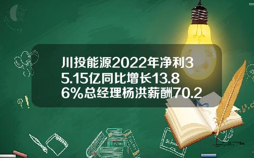 川投能源2022年净利35.15亿同比增长13.86%总经理杨洪薪酬70.24万-川投能源最高价是多少