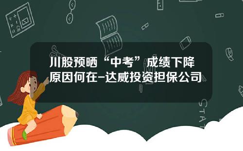 川股预晒“中考”成绩下降原因何在-达威投资担保公司