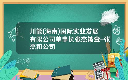 川能(海南)国际实业发展有限公司董事长张杰被查-张杰和公司