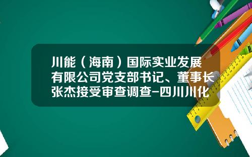 川能（海南）国际实业发展有限公司党支部书记、董事长张杰接受审查调查-四川川化集团公司