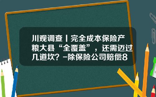川观调查丨完全成本保险产粮大县“全覆盖”，还需迈过几道坎？-除保险公司赔偿800元外