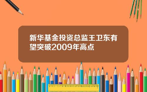 新华基金投资总监王卫东有望突破2009年高点