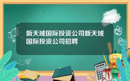 新天域国际投资公司新天域国际投资公司招聘