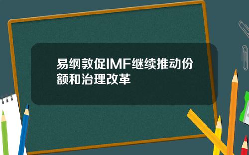易纲敦促IMF继续推动份额和治理改革