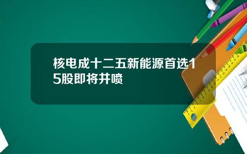 核电成十二五新能源首选15股即将井喷