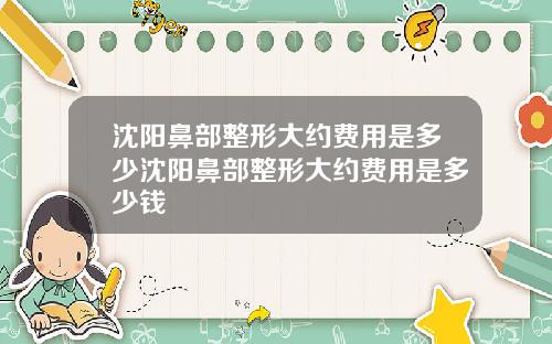 沈阳鼻部整形大约费用是多少沈阳鼻部整形大约费用是多少钱