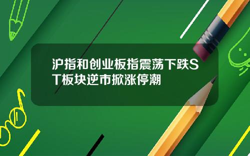 沪指和创业板指震荡下跌ST板块逆市掀涨停潮