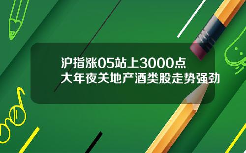 沪指涨05站上3000点大年夜关地产酒类股走势强劲