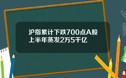 沪指累计下跌700点A股上半年蒸发2万5千亿