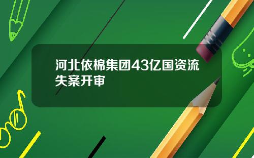 河北依棉集团43亿国资流失案开审