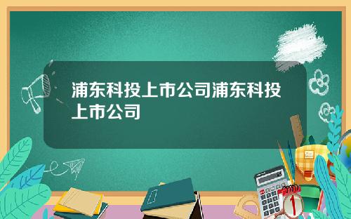 浦东科投上市公司浦东科投上市公司