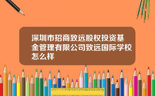 深圳市招商致远股权投资基金管理有限公司致远国际学校怎么样