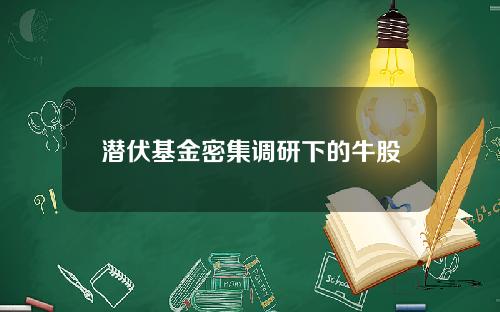 潜伏基金密集调研下的牛股