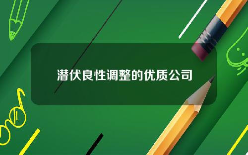 潜伏良性调整的优质公司