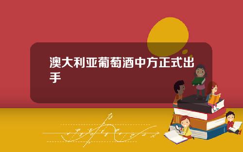 澳大利亚葡萄酒中方正式出手