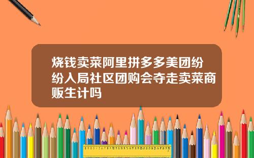 烧钱卖菜阿里拼多多美团纷纷入局社区团购会夺走卖菜商贩生计吗