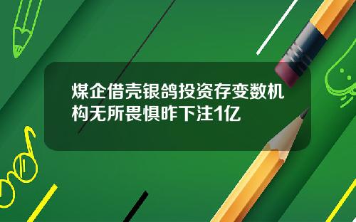 煤企借壳银鸽投资存变数机构无所畏惧昨下注1亿
