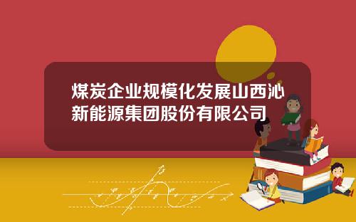 煤炭企业规模化发展山西沁新能源集团股份有限公司