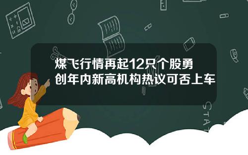 煤飞行情再起12只个股勇创年内新高机构热议可否上车