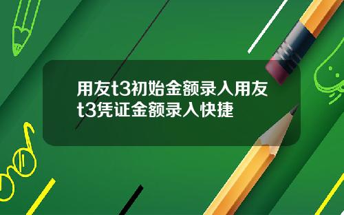 用友t3初始金额录入用友t3凭证金额录入快捷