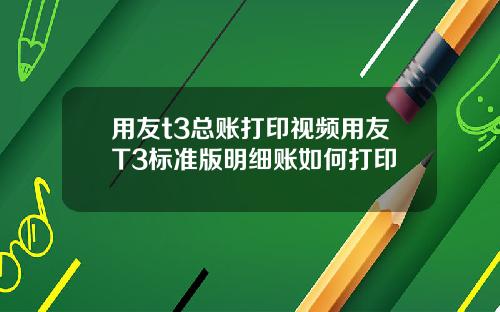 用友t3总账打印视频用友T3标准版明细账如何打印