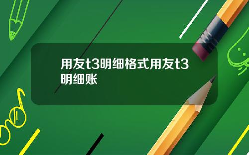 用友t3明细格式用友t3明细账