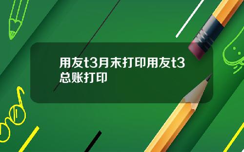 用友t3月末打印用友t3总账打印