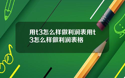 用t3怎么样做利润表用t3怎么样做利润表格