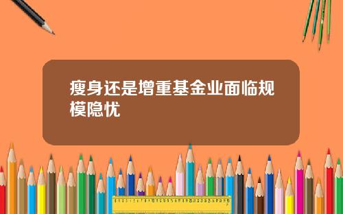 瘦身还是增重基金业面临规模隐忧