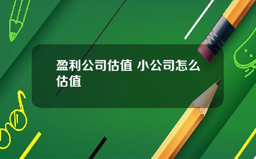 盈利公司估值 小公司怎么估值
